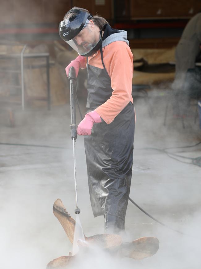 David Stemmer at work conducting an autopsy on a dwarf sperm whale. File picture: Tait Schmaal.