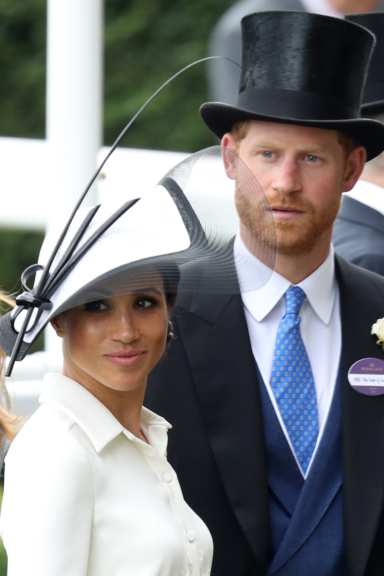 ascot dresses