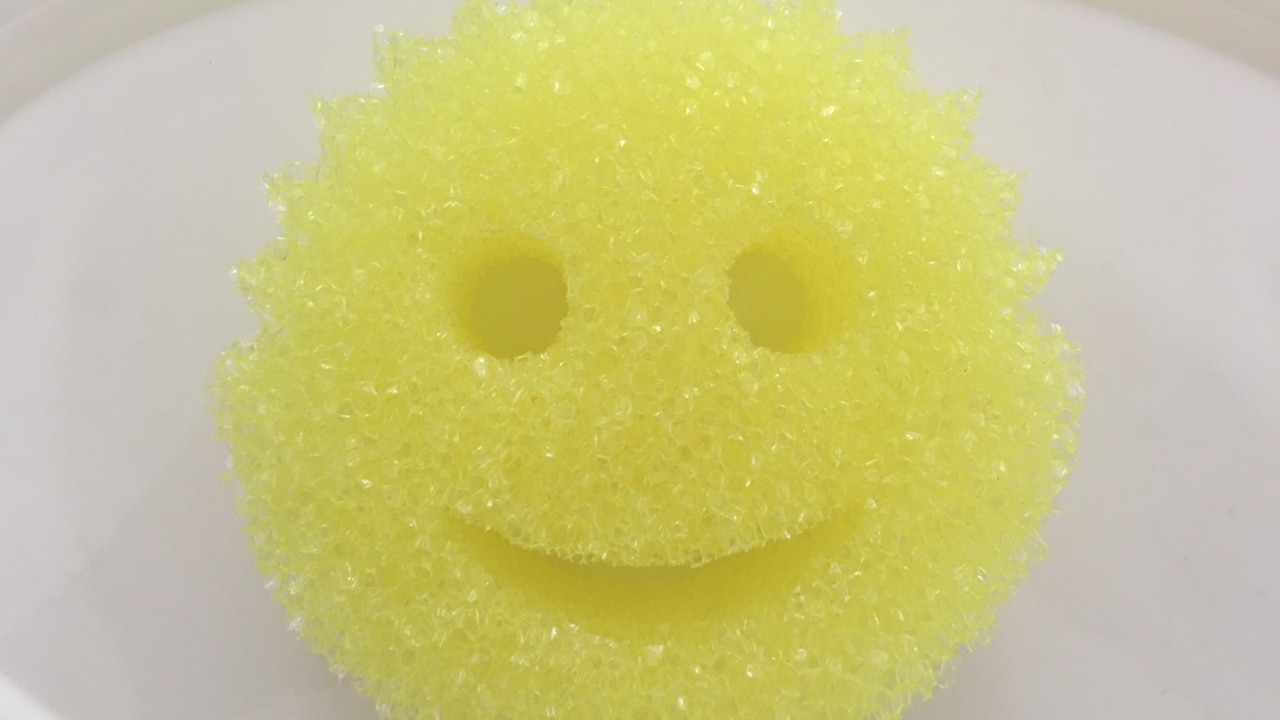 Living Royal Smiley Sponge