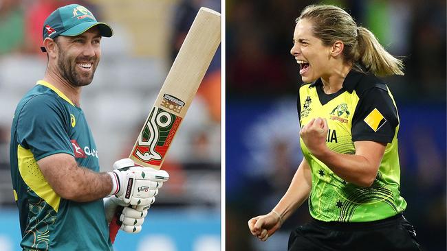 Glenn Maxwell has given advice to returning World Cup star Sophie Molineux