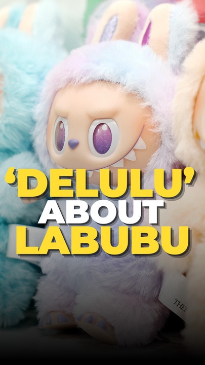 The plush toy sending the world into frenzy