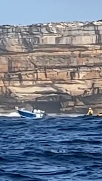 Boat seen after Whale strike off Sydney