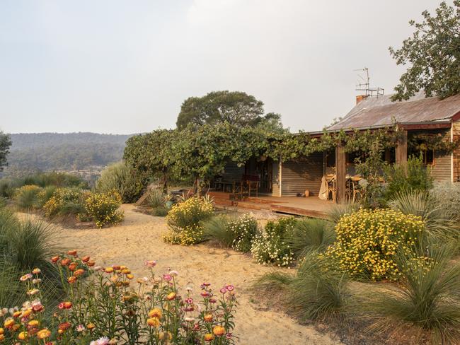 EMBARGO FOR TWAM, 02 NOVEMBER 2024. FEE MAY APPLY. Michael Wright and his wife Catherine Rush are the owners and designers of this garden in Glenluce in Victoria. Photo: Michael Wright