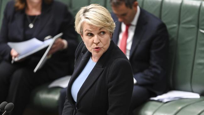 CANBERRA, AUSTRALIA, NewsWire Photos. DECEMBER 7, 2023: Minister for Environment and Water Tanya Plibersek during Question Time at Parliament House in Canberra. Picture: NCA NewsWire / Martin Ollman