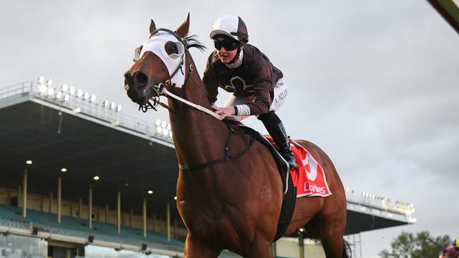 Lombardo will aim to stake his claim for the Group 1 Manikato Stakes. Picture: Racing Photos via Getty Images