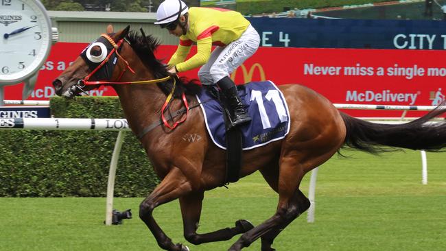 Room Number backs up in the Bega Cup on Sunday after a big win at Randwick last weekend. Picture: Grant Guy