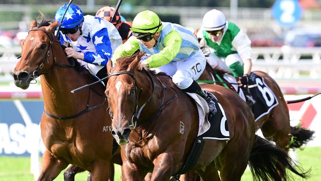 Front Page will take his place in the Stradbroke Handicap with connections to pay the late-entry fee. Picture: Trackside Photography