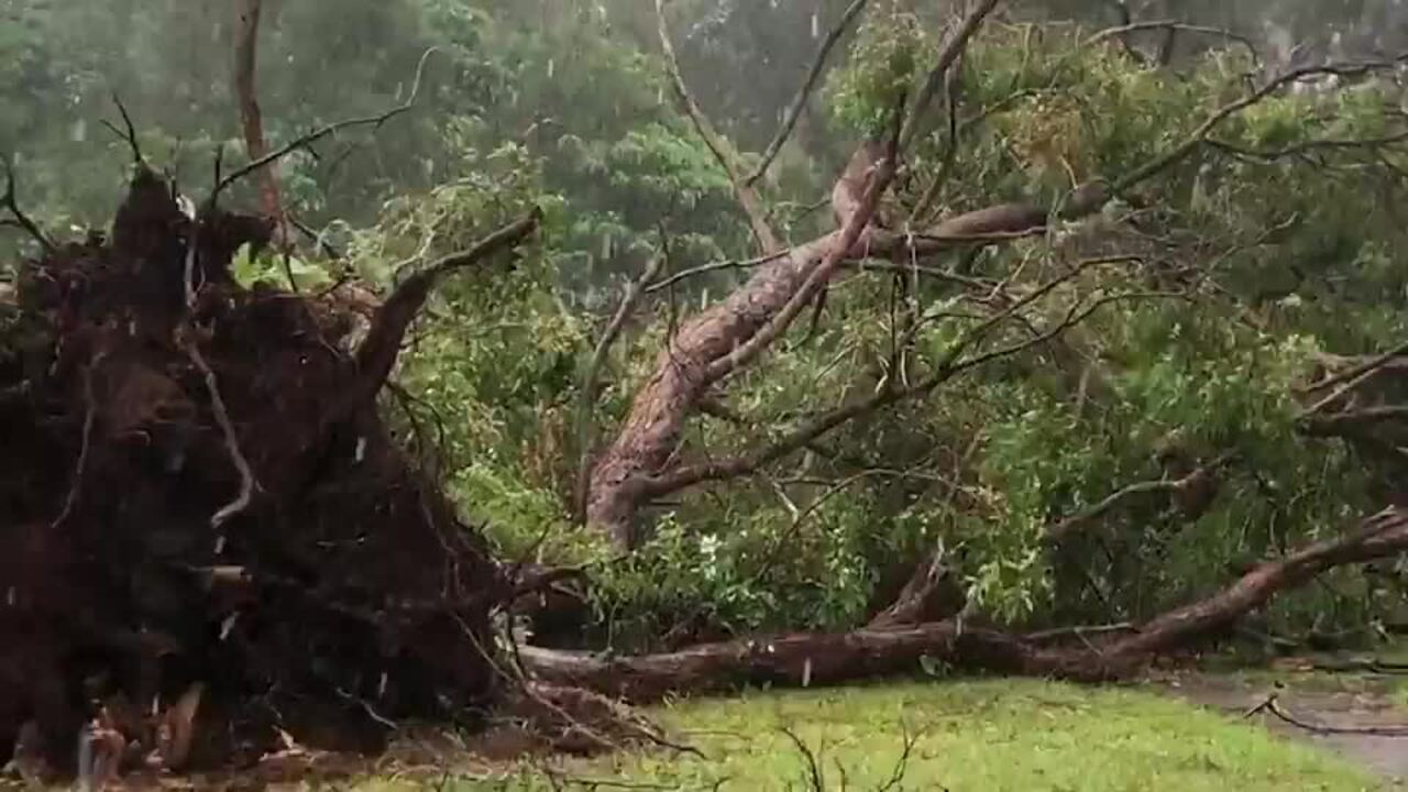 Redland Bay damage overnight