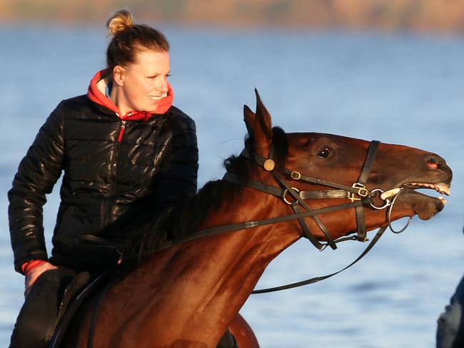 Ciaron Mahers Melbourne Cup runner Jameka ridden by Lucy Yeomans enjoys a walk in the water with Chloe in Paris at Mordialloc Beach. Pic : Michael Klein