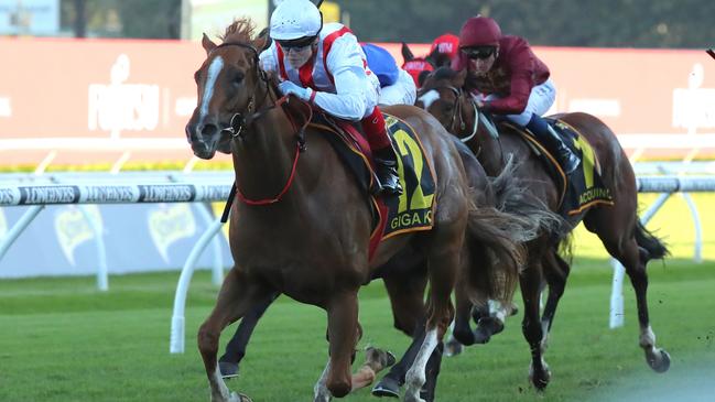 Giga Kick has not raced since tearing muscles in his hindquarters in a Group 2 race last September. Picture: Getty Images.