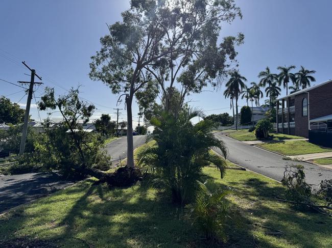 Penlington Street in The Range where a tree brought down powerlines in a storm during the night on January 16.