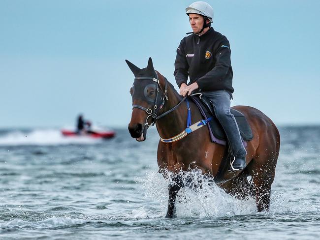 Cox Plate favourite Winx seems to make a splash wherever she goes. Picture: Colleen Petch