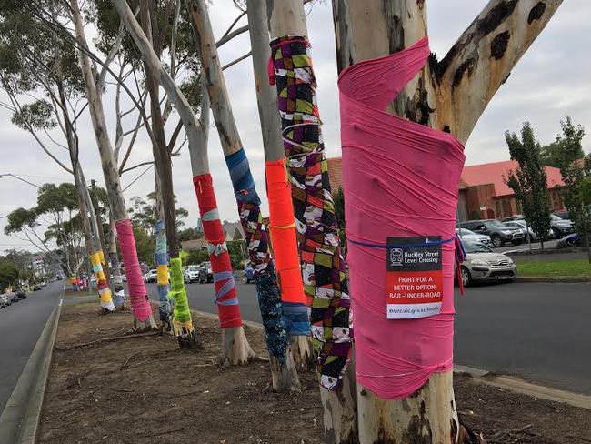 The gum trees before they were cut down. Locals protested the construction of a road underpass on their street, by brightly decorating the 17 trees lining the median strip.