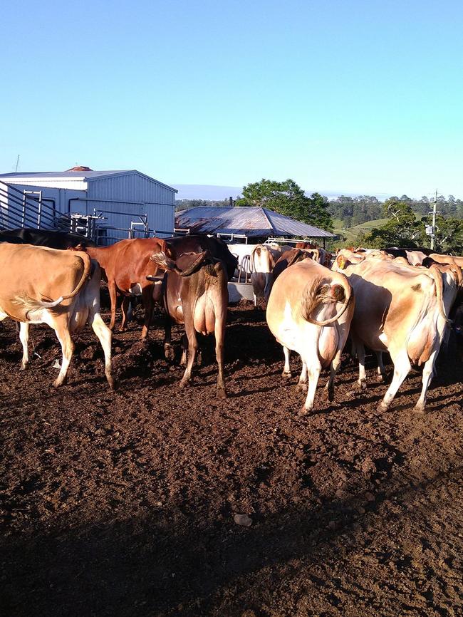 Shane Hickey’s drought-affected farm