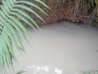 Alleged creek dumping by Nimbin Pool contractors has led to community concern surrounding the water quality of Nimbin's creeks. Picture: Rachel Scott