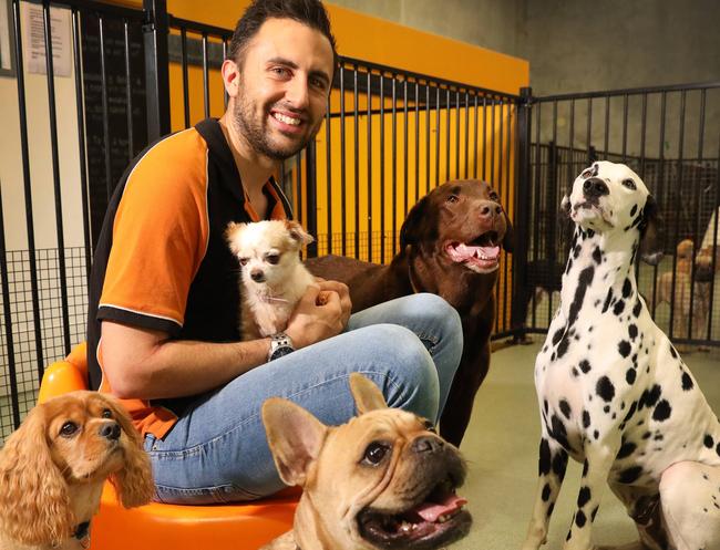 Dogcity Day Care has been nominated for an Eastside Business Award. Owner Daniel Spooner, with some of his many best friends. In Thebarton 22 February 2018. (AAP Image/Dean Martin)