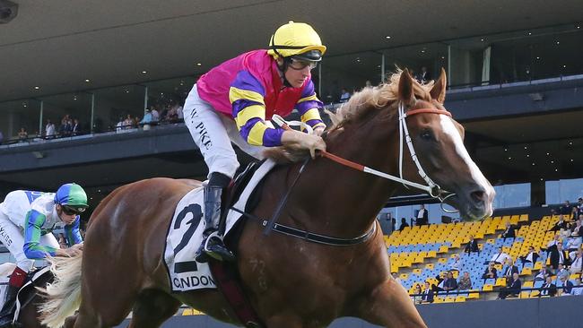 Mr Mozart is going for three in a row. Picture: Getty Images