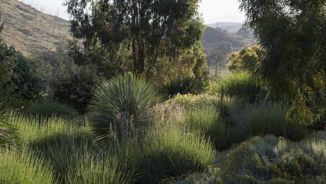 Carolyn does her gardening at the most comfortable time of day and is indoors by 11am to avoid working in full sun