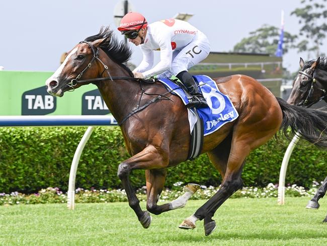 Spaceballs is aiming for back-to-back wins when she heads to Rosehill. Picture: Bradley Photos