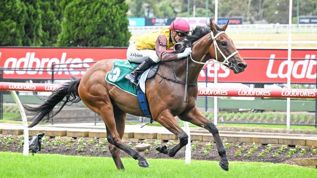 Field Of Play, ridden by Blake Shinn, wins in a canter at The Valley on Saturday. Picture: Reg Ryan / Racing Photos