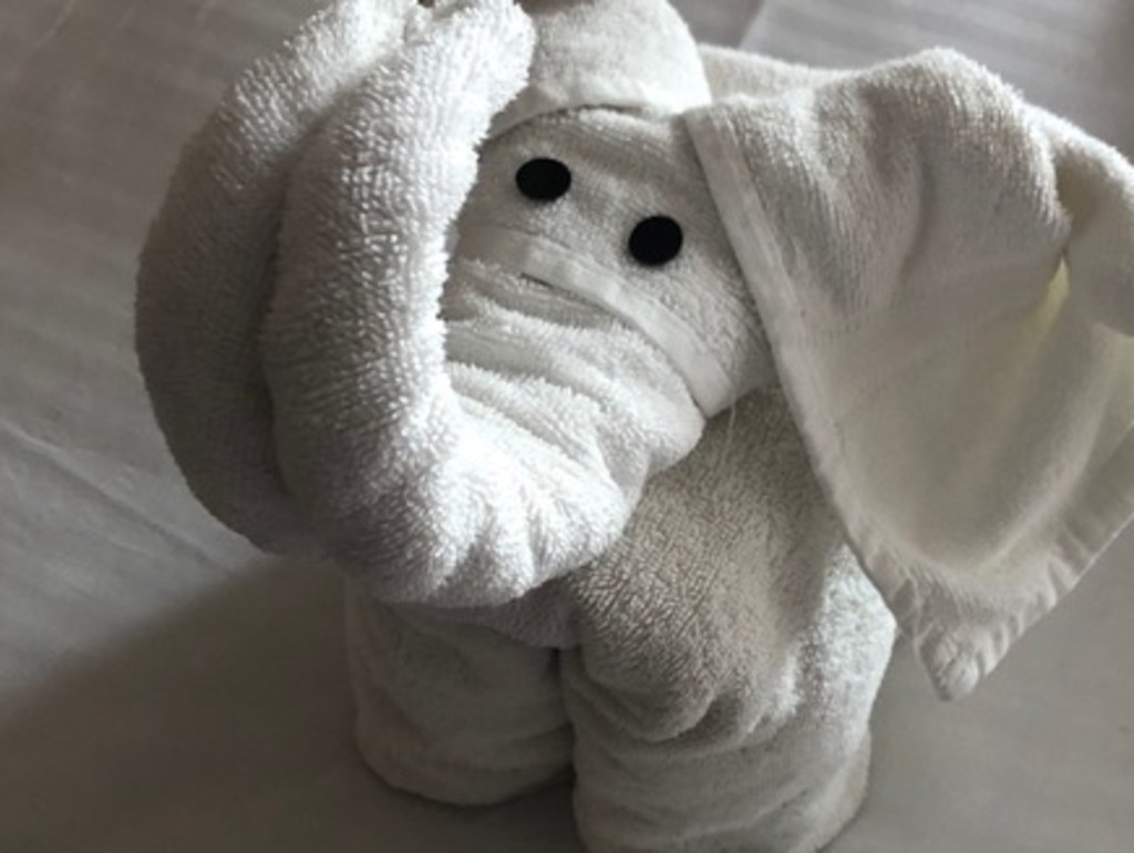 Cruise towel animals: Best towel art on Carnival Cruises | Photos |  