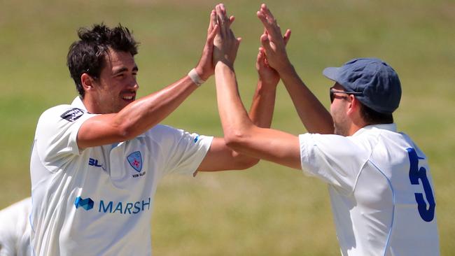 Mitchell Starc took five wickets against Tasmania.