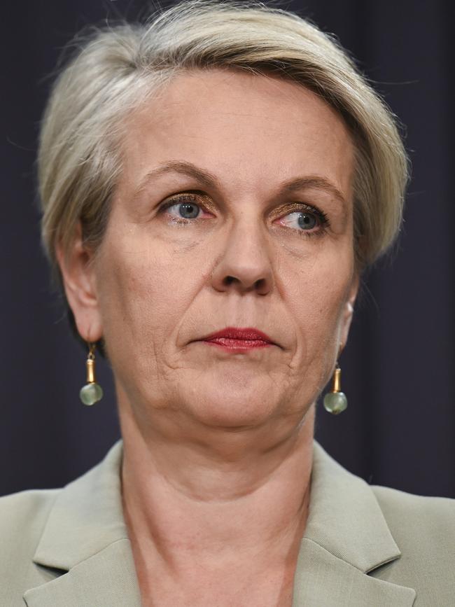 Tanya Plibersek.