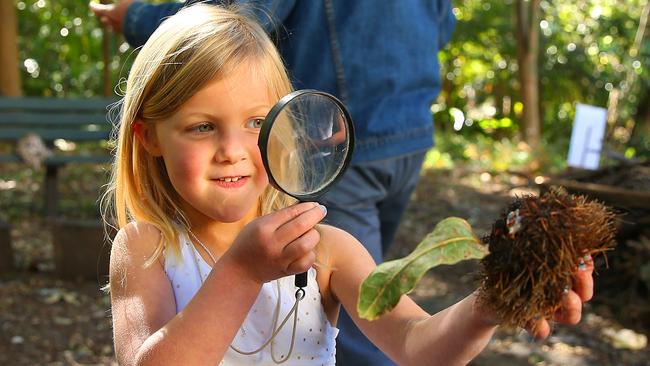 Stony Range Botanical Gardens | Daily Telegraph