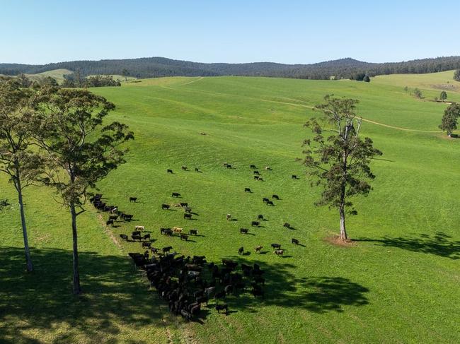 jamberoo auction the weekly times