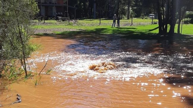 A burst water main on Karragarra Island will shut down water across Macleay, Lamb and Karragarra tonight. Photo: Seqwater Facebook. 