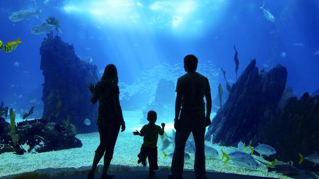 Police have charged a man who kissed a toddler while at the aquarium.