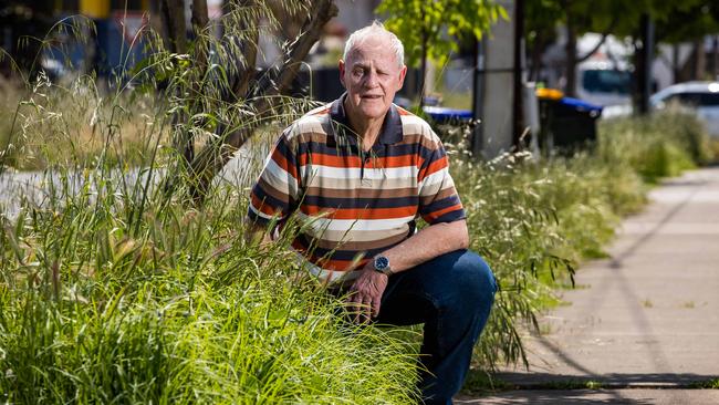 The overgrown grass isn’t just an eyesore, says Howard Holman – it’s a health hazard for people with allergies, and a fire hazard too. Picture: Tom Huntley