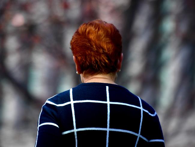 Ms Hanson said it wasn’t “the first time Brian has stabbed me in the back”. Picture: AAP