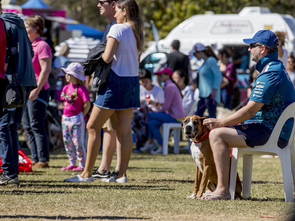 Paws at the Park held at Mudgeeraba showground on Sunday. Picture: Jerad Williams