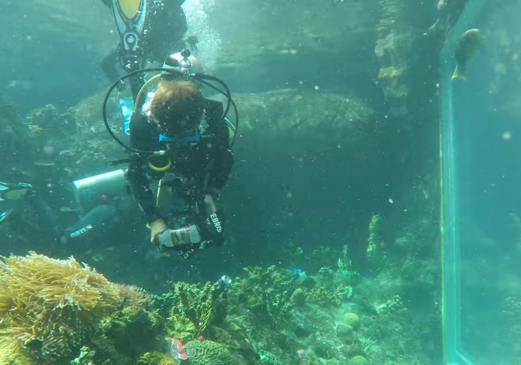 Divers Clear Litter From Aquarium, Testing Plans to Tackle Marine Debris
