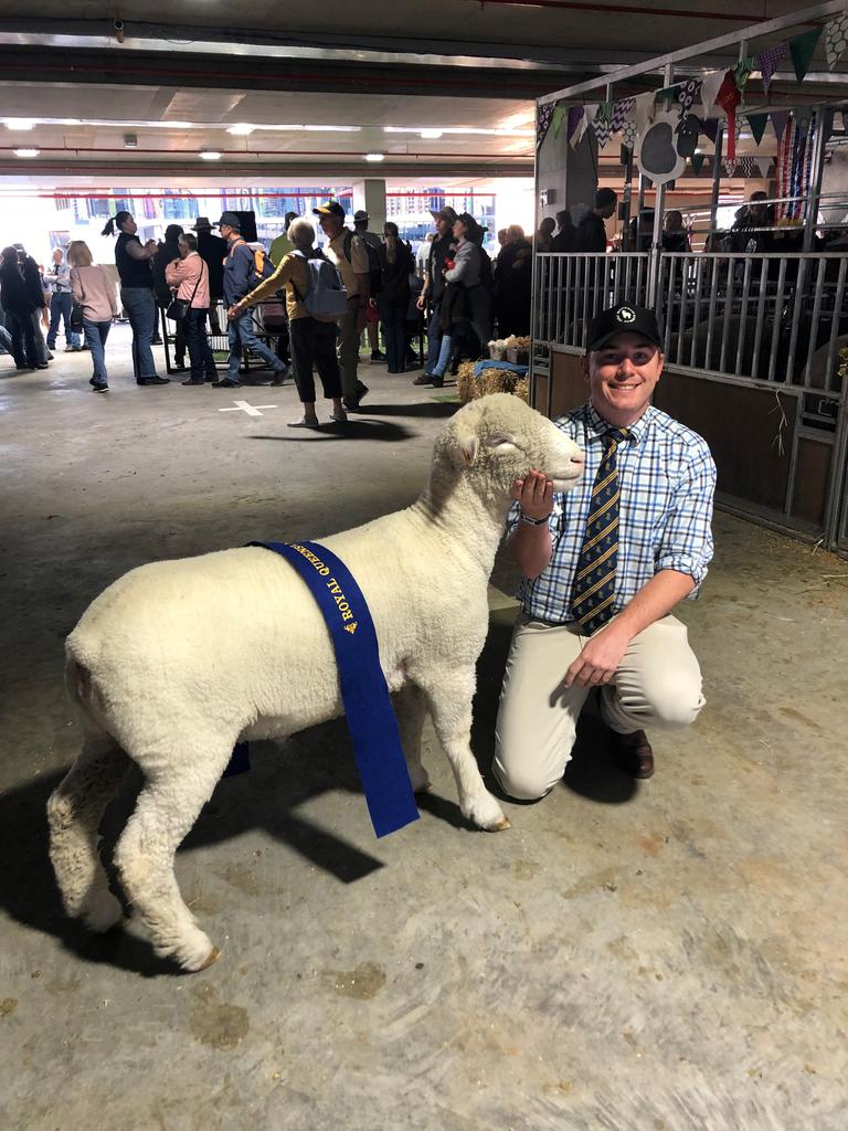 Mount Whitestone stud principal Matthew Franklin with one of his stud animals at the Ekka.