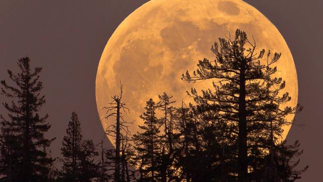 A supermoon rising in Yosemite, USA