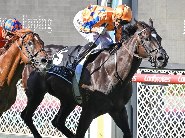 Imperatriz ridden by Opie Bosson wins the 3 Point Motors William Reid Stakes at Moonee Valley Racecourse on March 23, 2024 in Moonee Ponds, Australia. (Photo by Reg Ryan/Racing Photos via Getty Images)