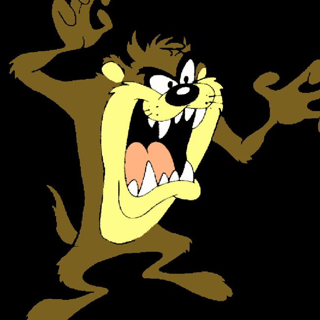 Warner Bros animated cartoon character Taz, the Tasmanian Devil.