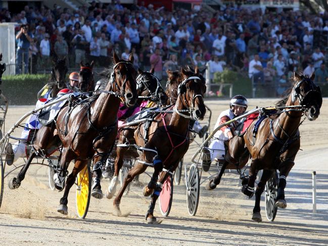 Harness racing at Globe Derby Park during the 2007 Inter Dominion.