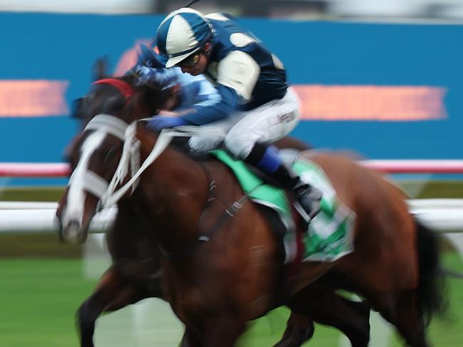 SYDNEY, AUSTRALIA - JULY 06: Kerrin Mcevoy riding Pure Alpha is seen in Race 10 TAB during Sydney Racing at Royal Randwick Racecourse on July 06, 2024 in Sydney, Australia. (Photo by Jeremy Ng/Getty Images)