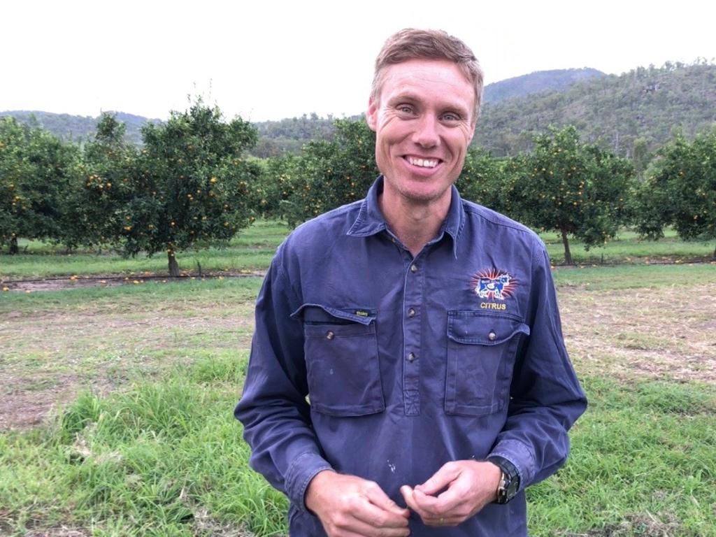 Fruit picking jobs QLD: Couple pick up where they left off | The ...