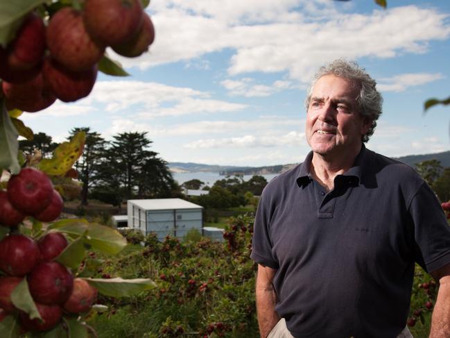 Roger Scales in the apple orchards around his Woodbridge Smokehouse, where he smokes fish using wood from the apple trees.