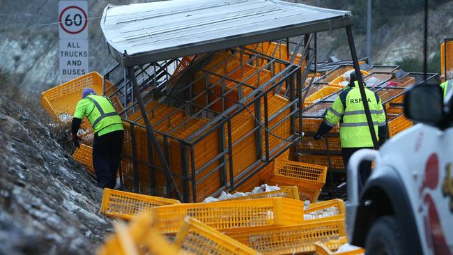 Police, emergency workers and the RSPCA at the scene on the freeway, where a chicken truck rolled and blocked three lanes of traffic. Picture: Emma Brasier / AAP