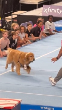 The ‘goodest boy’ shows off his adorable skills at Olympic trials