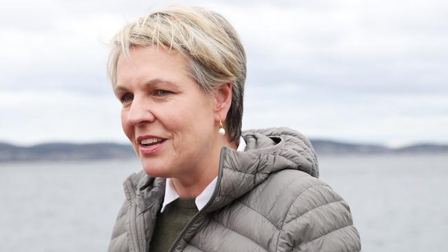 Environment Minister Tanya Plibersek says the Murray-Darling Basin Plan will not be achievable by its mid-2024 deadline. Picture: Nikki Davis-Jones