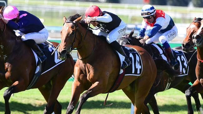 Glitter Strip won at the track and distance in May. Picture: Trackside Photography