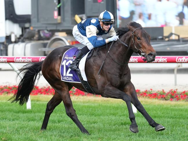 Nadal ridden by Ethan Brown wins the The Ladbrokes Meteorite at Cranbourne Racecourse on November 23, 2024 in Cranbourne, Australia. (Photo by Scott Barbour/Racing Photos via Getty Images)