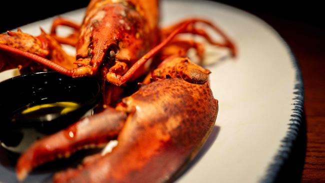 Sixteen per cent of rock lobsters sold worldwide end up at Red Lobster. Picture: by Brandon Bell / Getty Images via AFP