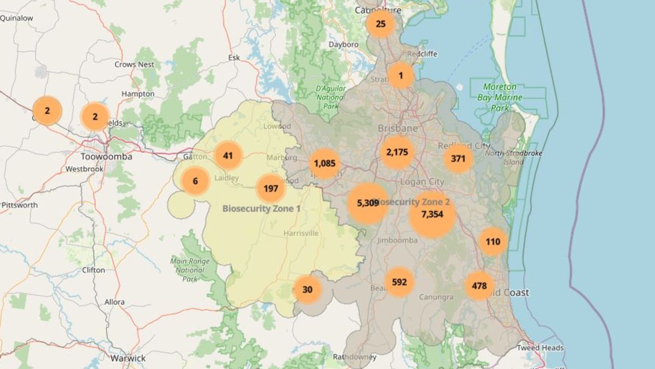 Map shows sites in Queensland that have had fire ants in the last 12 months. Picture: National Fire Ant Eradication Program